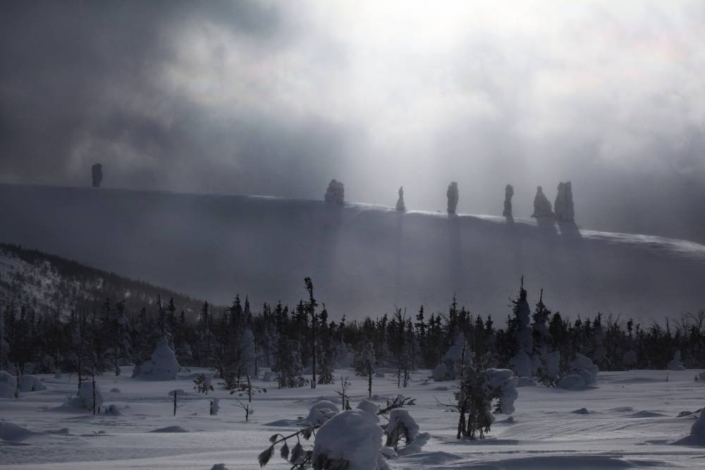 Uurali rahvaste auhinna (300 eurot) võitis Komimaa Man-Pupu-Nyori mäe kivisammastest tehtud muinasjutuline ülesvõte. Foto autor on Peterburis elav elukutseline fotograaf Natalya Onishchenko, kelle sõnul tuli pildi jäädvustamiseks trotsida nii lumetormi kui ka pakast.
