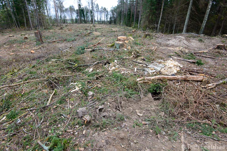 mägralinnaku lageraie