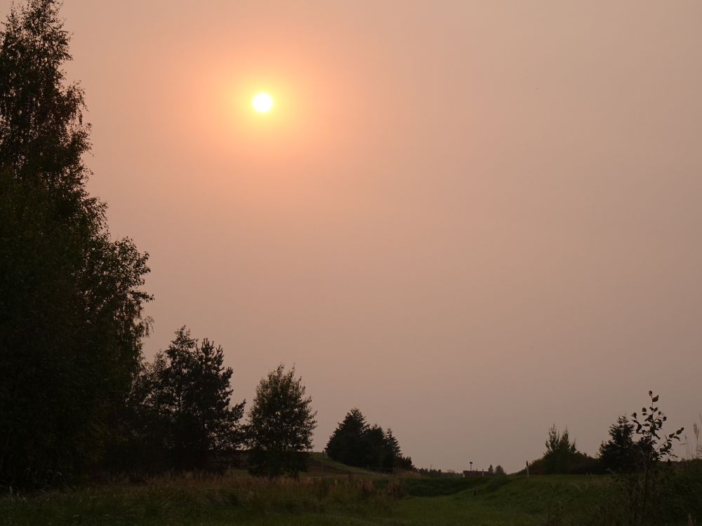 Päike reedel kell 16:56