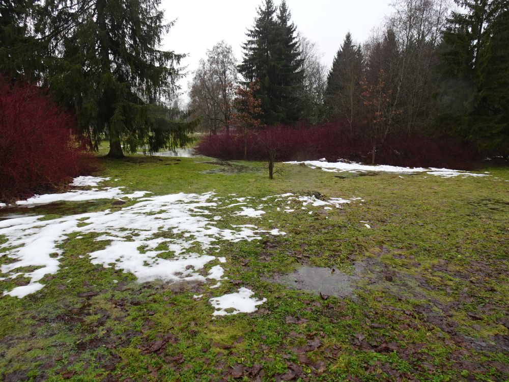 Piiri park 30. jaanuaril