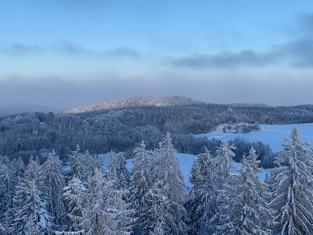 Vällamägi