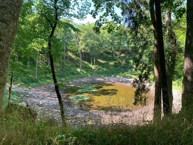 Kaali järv 9. augustil