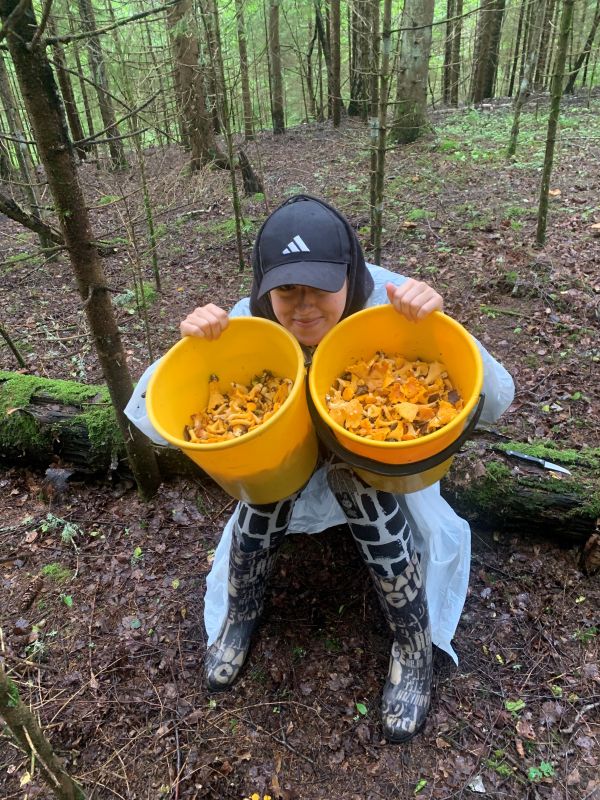 Kukeseeni oli lademes