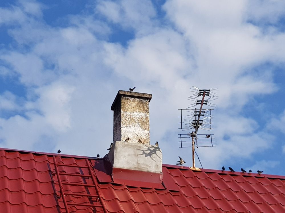 Pääsukeste aerodroom
