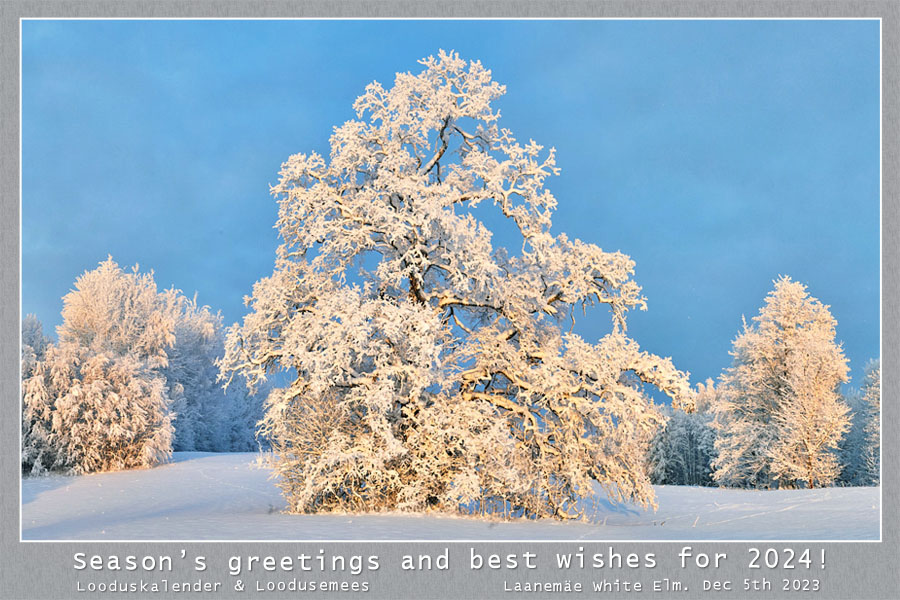 Seasonal Greetings!