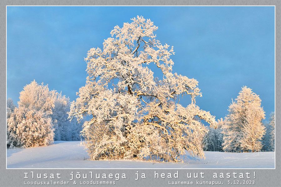 Hääd soovid!