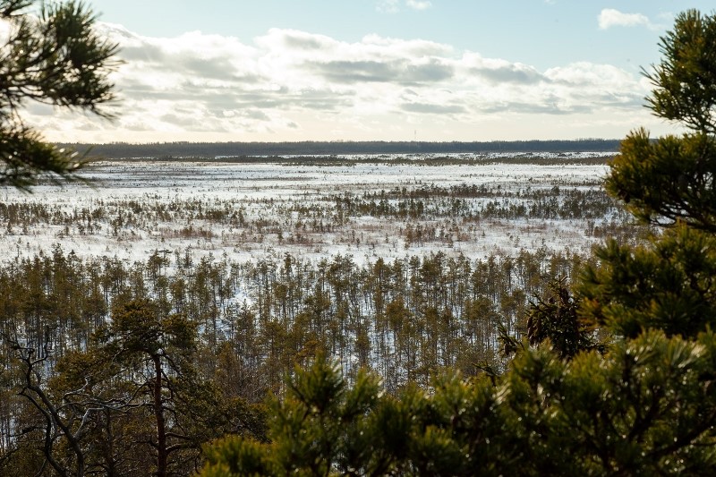 Kaljukotkakaamera 2022