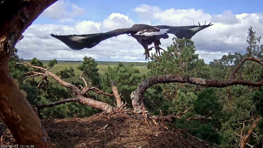 Lahkumine pesalt on muidugi lihtsam harjutus