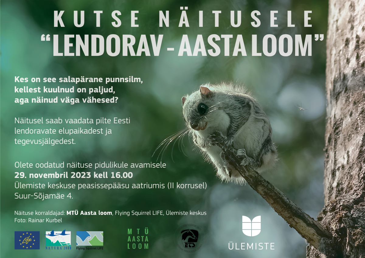 näituse kutse