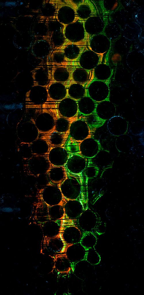Jäädvustatud on kahe fluorestseeruva värvaine edasikandumise ja segunemise poorses kolmemõõtmelises keskkonnas.