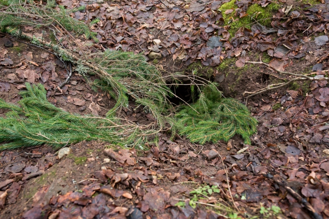 Nädal metsas - Mägra Aasta viimane.