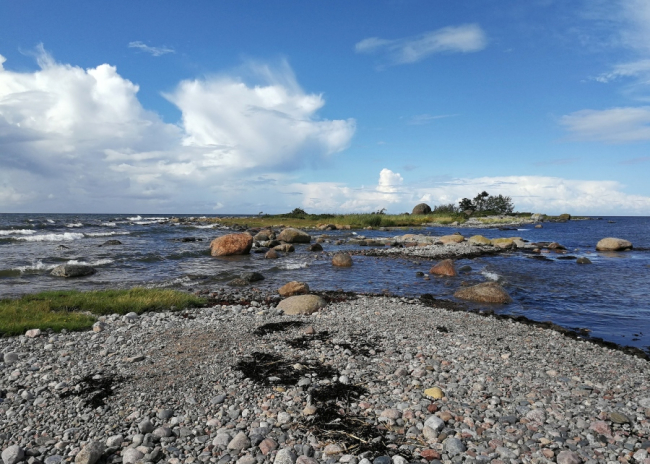 Полуостров Пуреккари, Пяриспеа