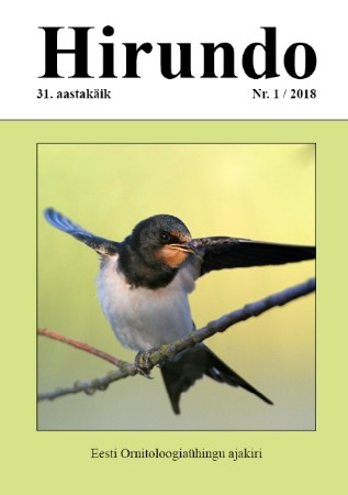 Hirundo 