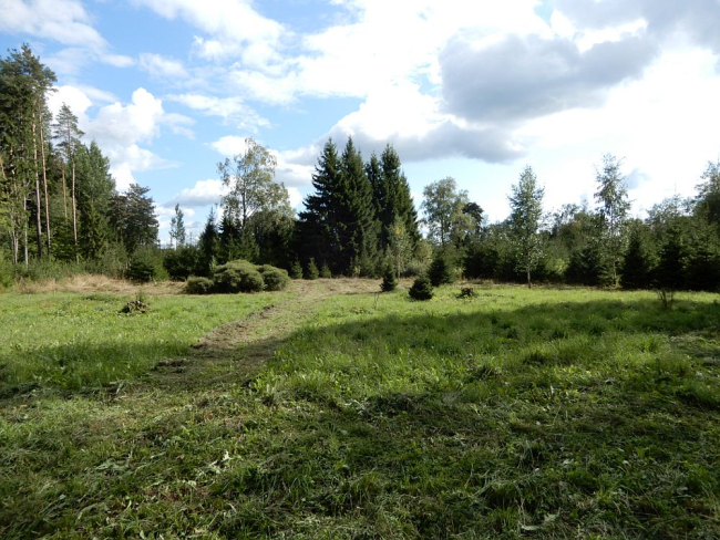Maastik  on  veel  roheline