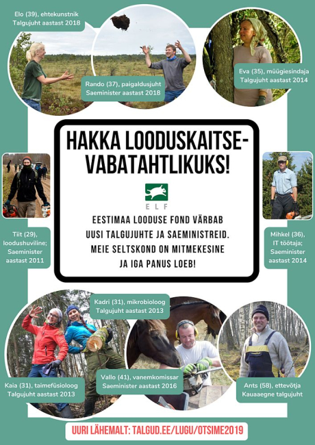 ELF värbab uusi talgujuhte ja saeministreid