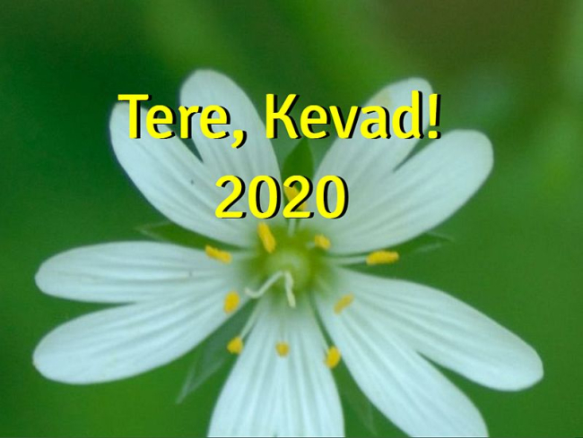 Tere, kevad 2020