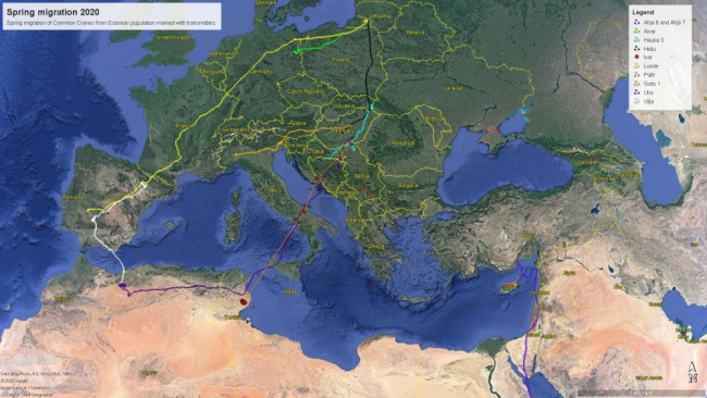 kaart spring migration 