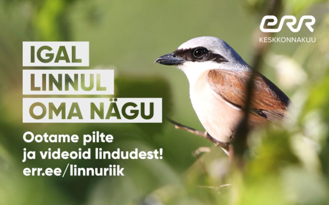 Kui märkad linde oma koduaias või oled juba varem looduses liikudes teinud toredaid fotosid või videoid Eestis leiduvatest linnuliikidest, siis saada need meile ja toome mais linnud rahvusringhäälingu kanalite eetrisse.