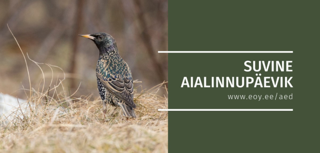Alustab 2021. aasta suvine aialinnupäevik