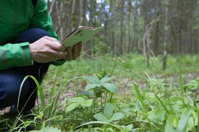 Laupäeval, 12. juuni keskpäeval, saab alguse neljas üle-eestiline loodusvaatluste maraton. Kõigile huvilistele on üle Eesti avatud 30 vaatlusala, kus võib ööpäeva jooksul erinevaid liike määrata. Lisaks asub 22 vaatlusala eramaadel.