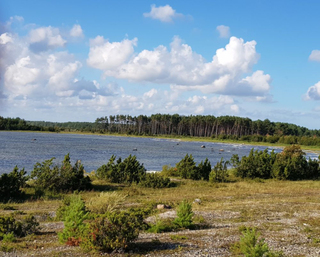 Suvelõpu Kassari