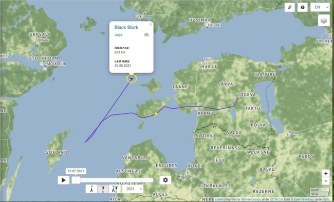 Noorlind Julge suundus oma rändega Saaremaalt Gotlandi suunas…