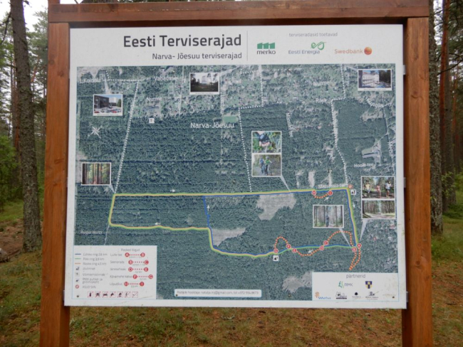 Terviseradade plakat Auga parkmetsas