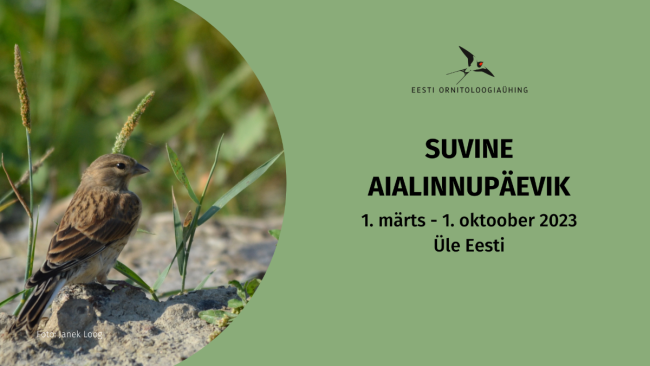 Suvine aialinnupäevik