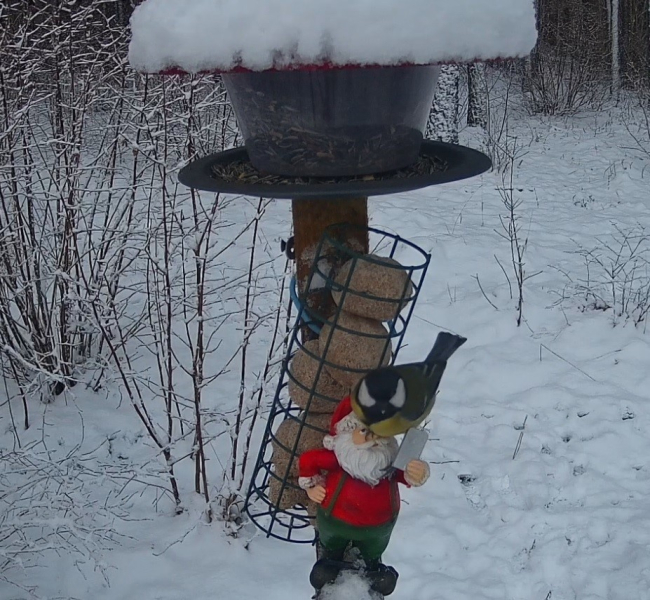Huvitav kas uus sõnum on mulle?