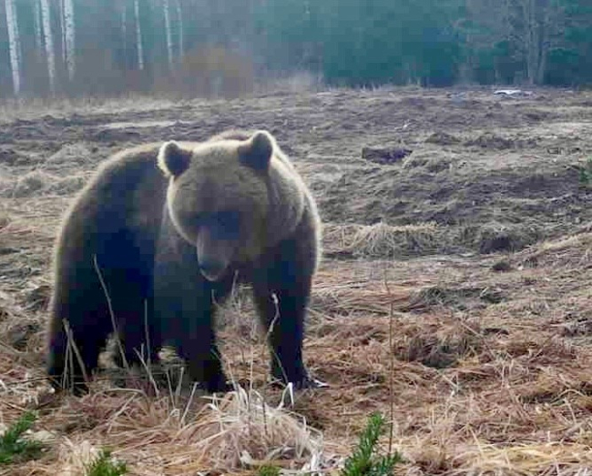 Läbi tuleb käia kõik oma varasemad rajad