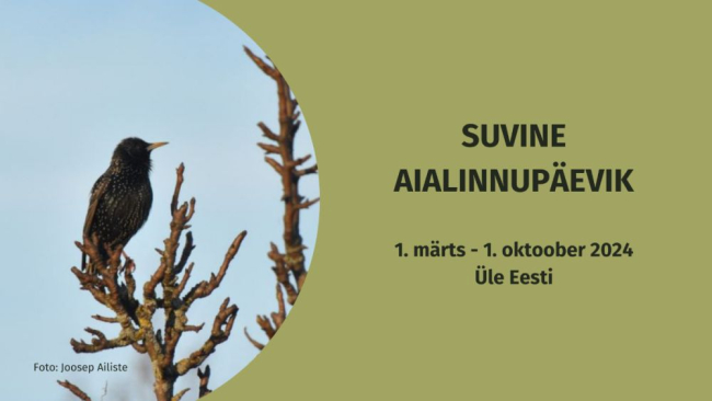 aialinnupäevik