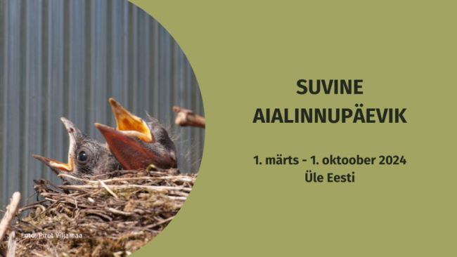 aialinnupäevik