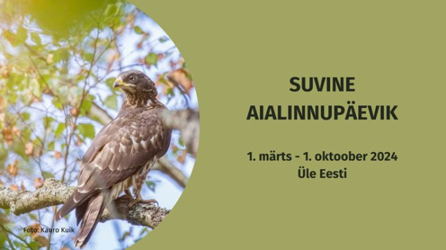 aialinnupäevik