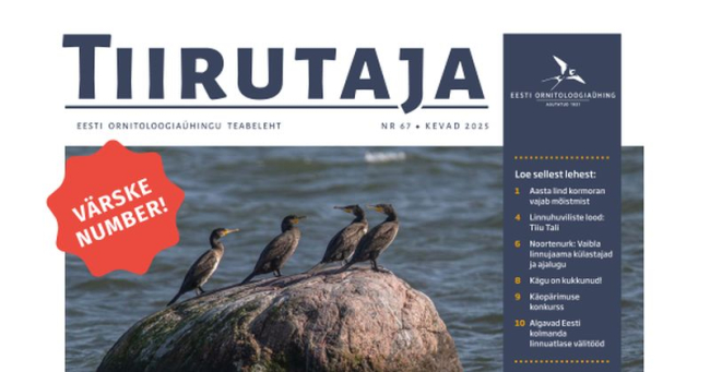 Tiirutaja 